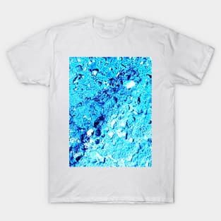 Ice Cold T-Shirt